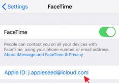 FaceTime — как пользоваться программой и что это такое Приложение фейс тайм